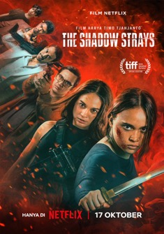 The Shadow Strays (2024) full Movie Download Free in Dual Audio HD